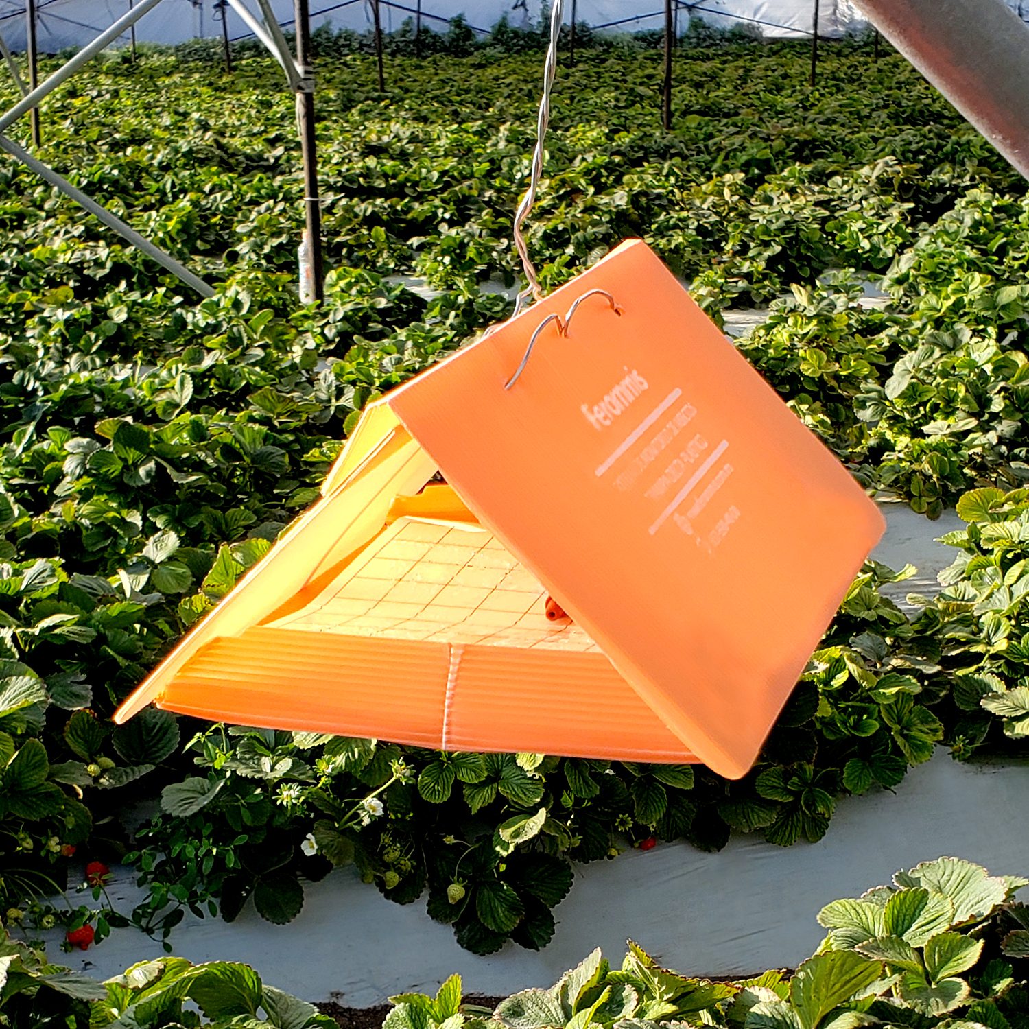 EMP_Producto.jpg EMP_Producto.jpg